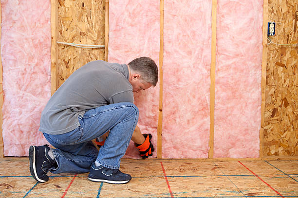 Best Commercial Insulation in Puxico, MO